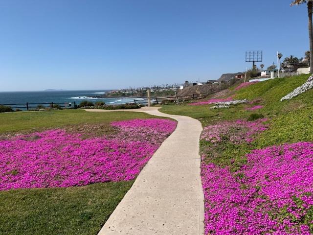 Beachfront Condo W Pools Steps To Beach & Mins To Dt Rosarito Esterno foto